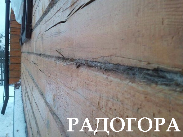 Как конопатить сруб